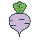 Rutabaga Technology